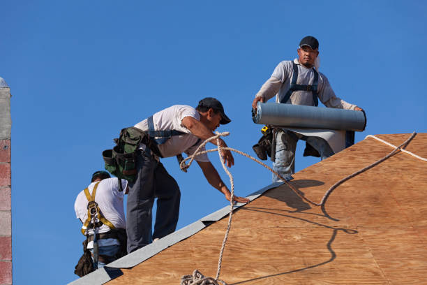 Best Best Roofing Contractors  in Mamou, LA
